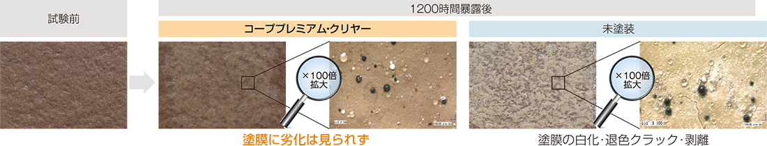 下地の保護効果