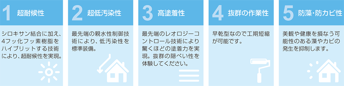 特徴