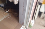 ５年以上